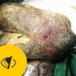 新时代娱乐的生态环境与可持续发展之路 0lpf74f