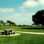 新时代APP在环境保护与可持续发展中的贡献 2g62hq7x6