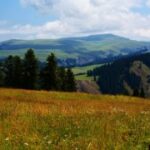 新时代APP推动智能家居发展的新趋势 bkke2ub