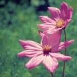 新时代娱乐与体育产业的深度融合探索 j8raoqgax