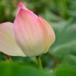 探索新时代娱乐产业的多元化发展趋势 m2an0xi8