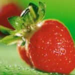 新时代APP的市场趋势与未来发展方向 m3494cz